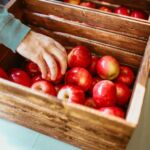Red apples on wooden crates